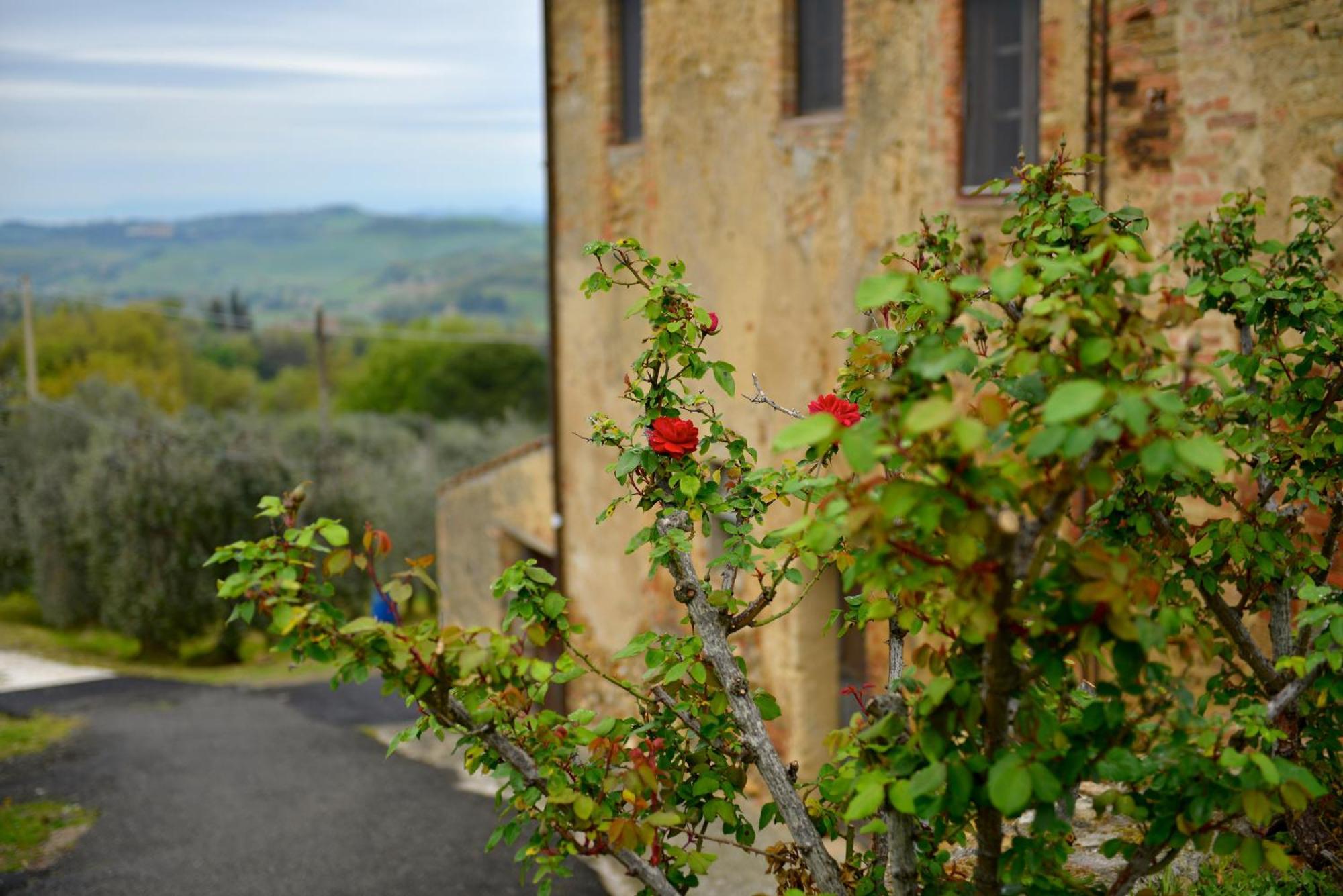 Apartamento Casa Zeno Volterra Exterior foto